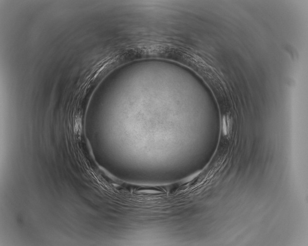 X0000115731155200911121506