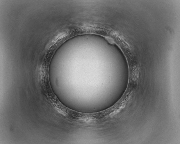 X0000115731157200911121506