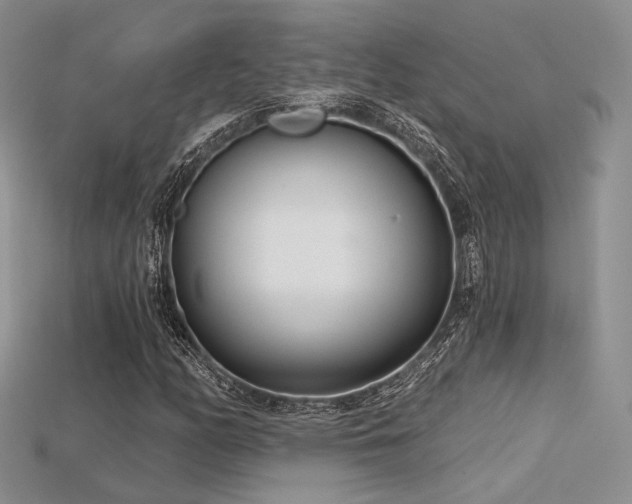 X0000115731158200911121506
