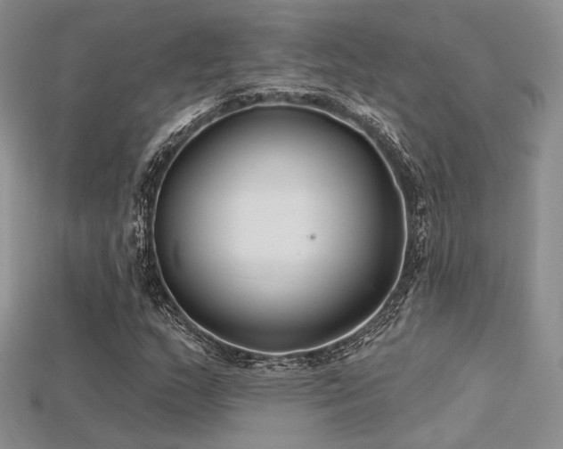 X0000115731159200911121506