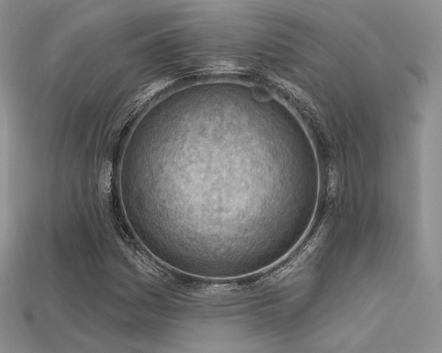 X0000115731161200911121506
