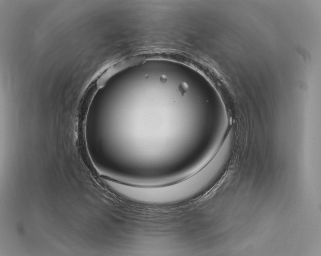 X0000115731165200911121506