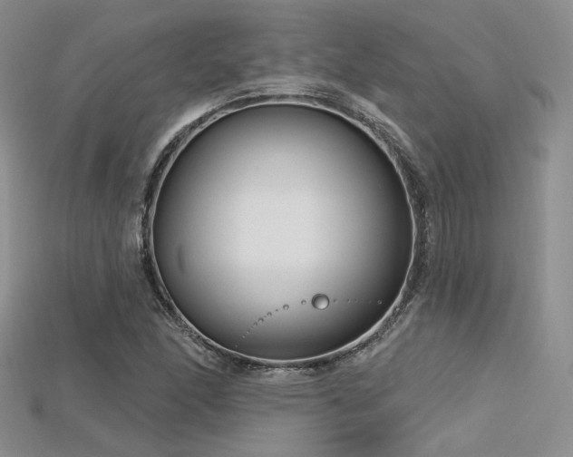 X0000115731166200911121506