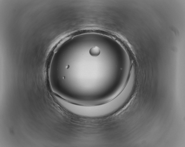 X0000115731167200911121506