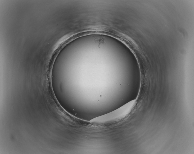 X0000115731168200911121506