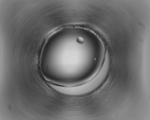 X0000115731169200911121506