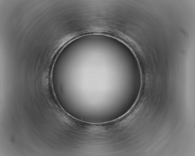 X0000115731170200911121506