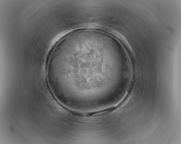 X0000115731176200911121505