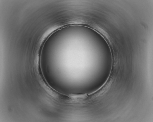 X0000115731179200911121505