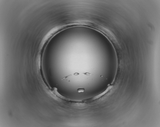 X0000115731180200911121505