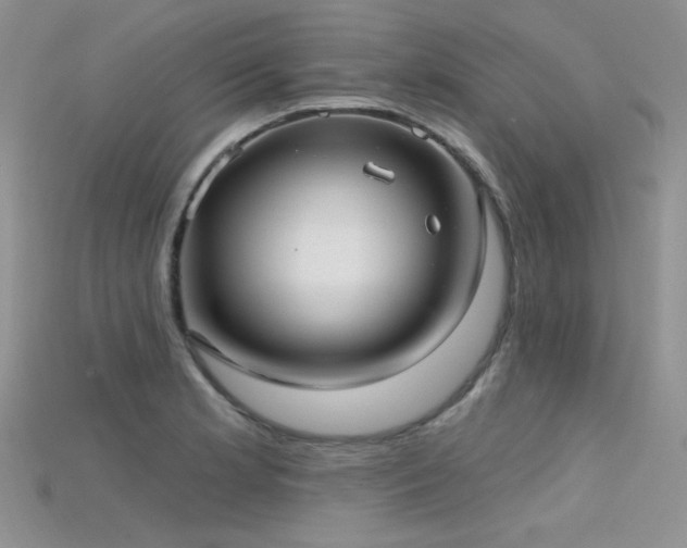 X0000115731181200911121505