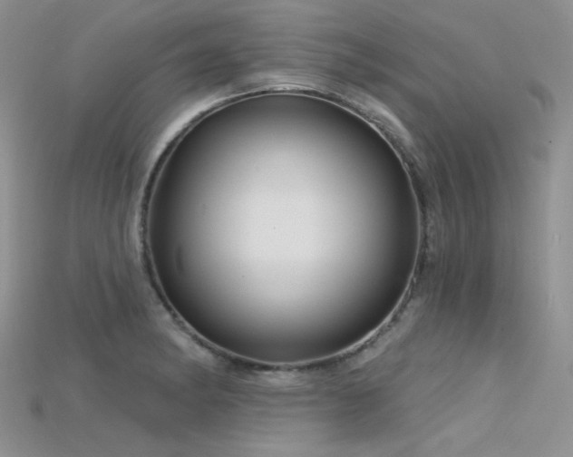 X0000115731182200911121505