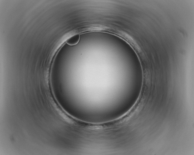 X0000115731186200911121505