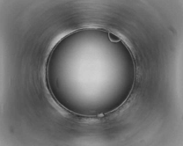 X0000115731187200911121505