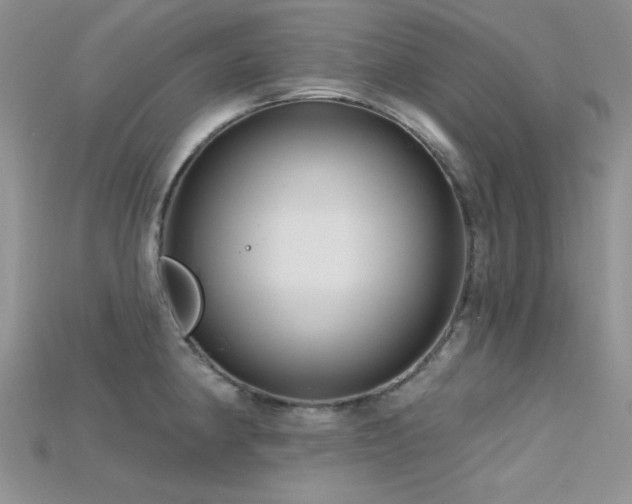 X0000115731190200911121505