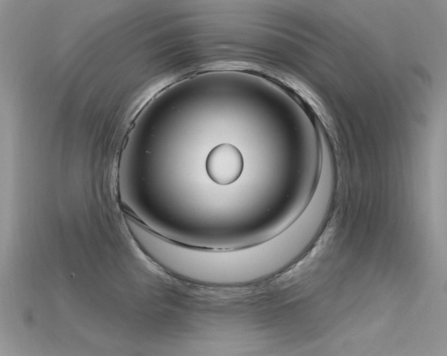 X0000115731193200911121505