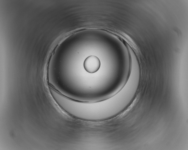 X0000115731196200911121505