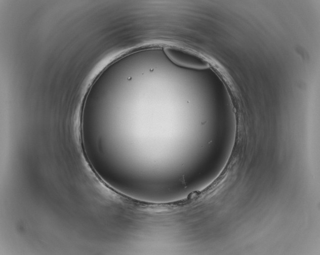 X0000115731199200911121505