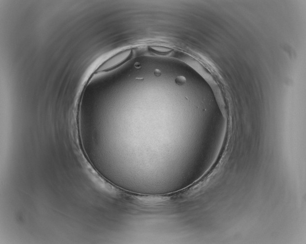 X0000115731200200911121505