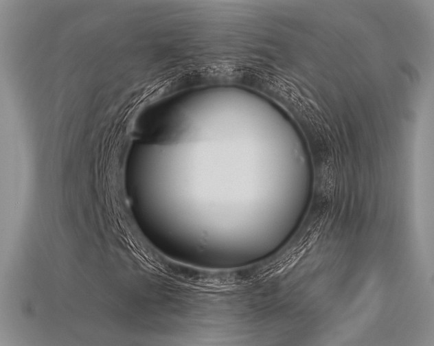 X0000115731201200911121505
