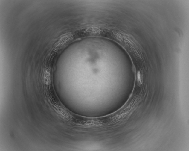 X0000115731203200911121505