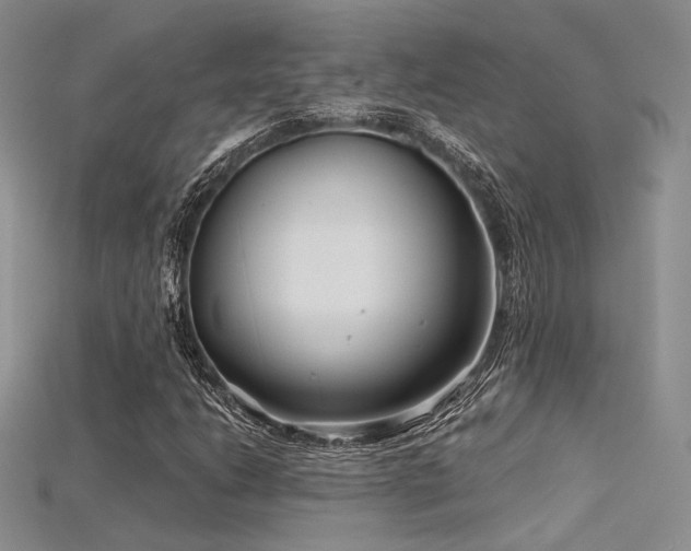 X0000115731206200911121505