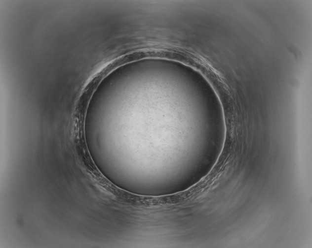 X0000115731208200911121505