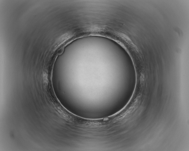 X0000115731209200911121505
