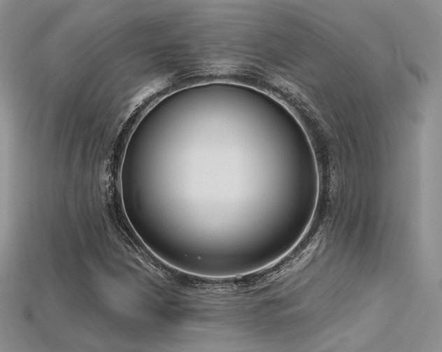 X0000115731210200911121505
