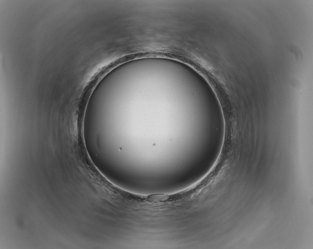 X0000115731214200911121505