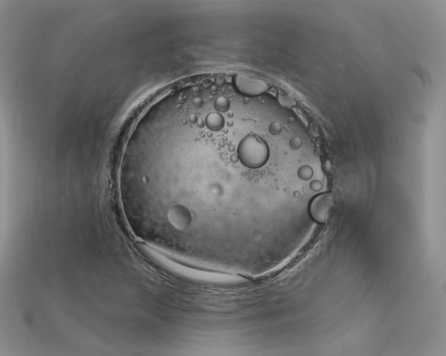X0000115731215200911121505