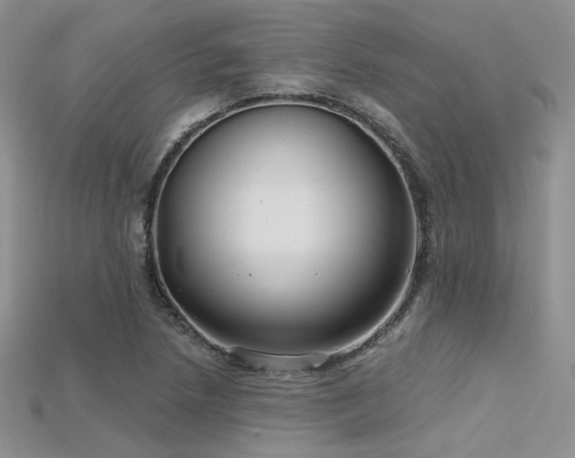 X0000115731218200911121505