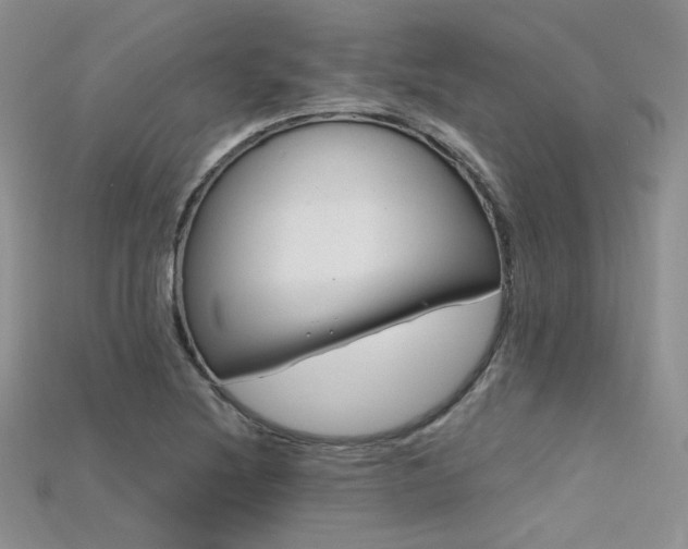 X0000115731220200911121505