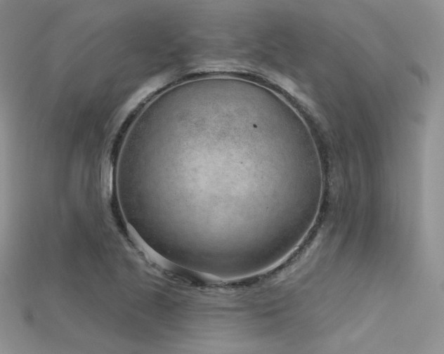 X0000115731221200911121505