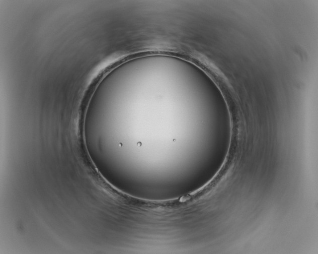 X0000115731222200911121505