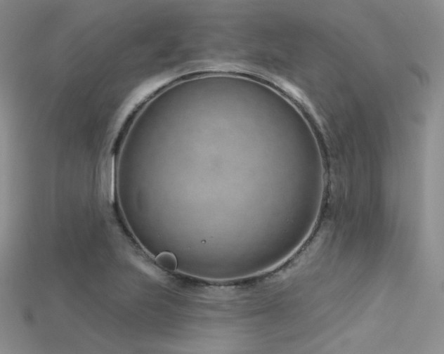 X0000115731223200911121505