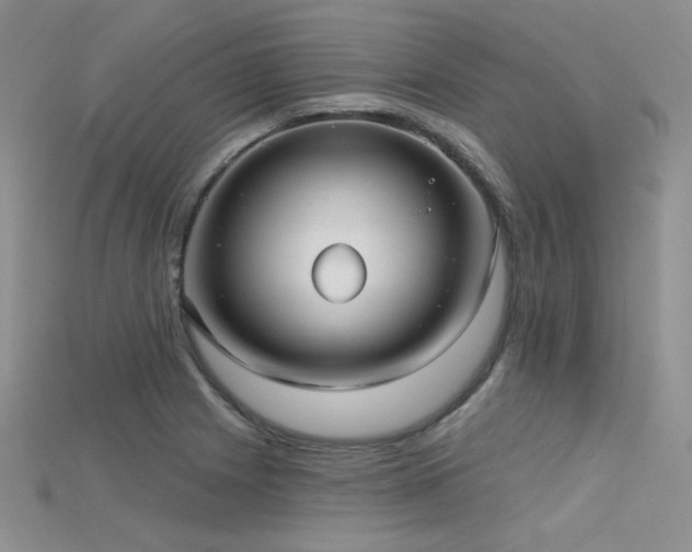 X0000115731225200911121505