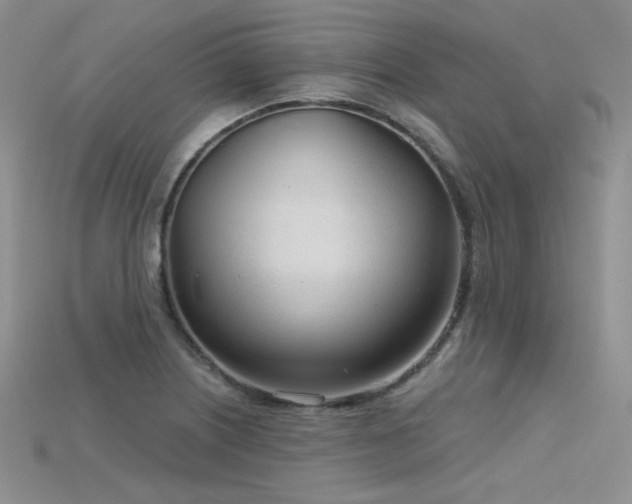 X0000115731226200911121505