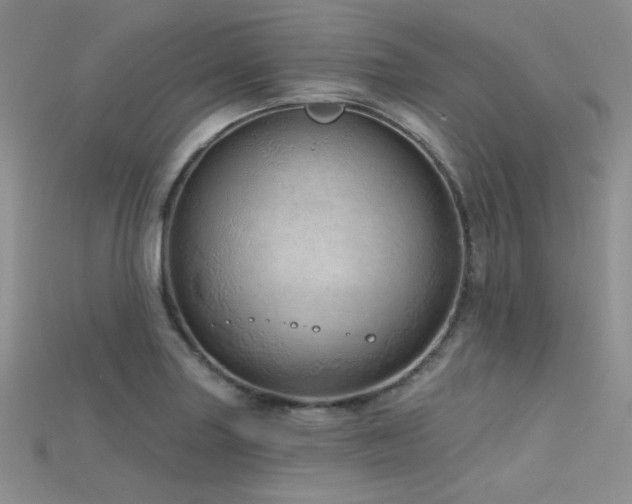 X0000115731227200911121505