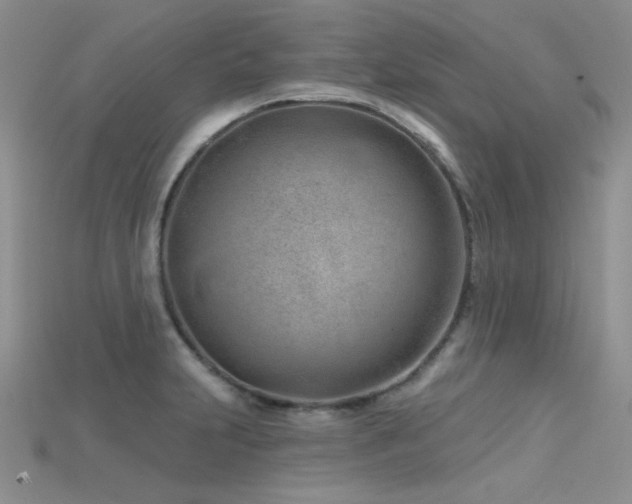 X0000115731231200911121505