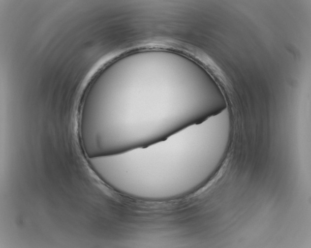 X0000115731232200911121505