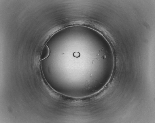 X0000115731233200911121505