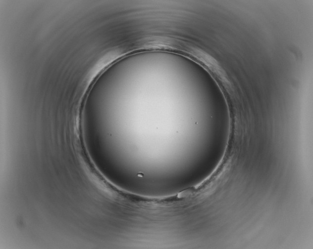 X0000115731234200911121505