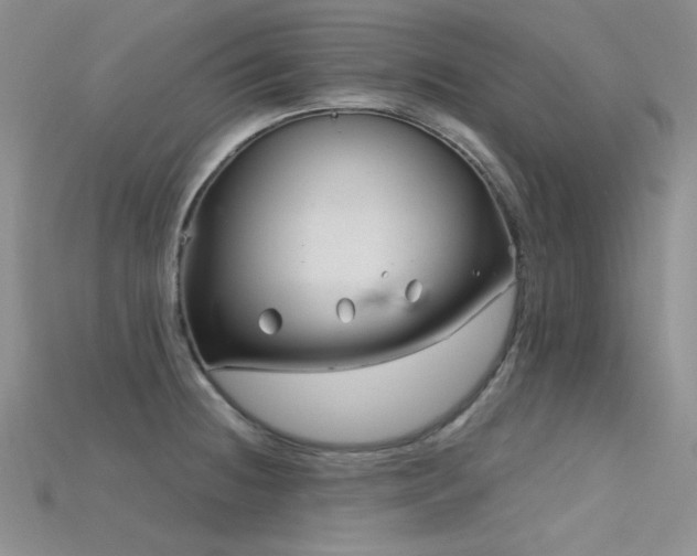 X0000115731236200911121505
