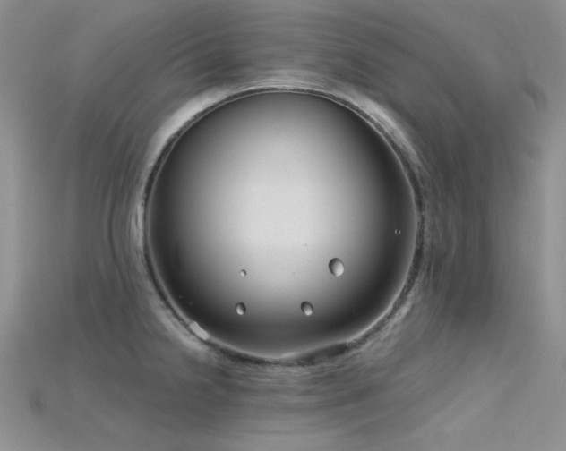 X0000115731238200911121505