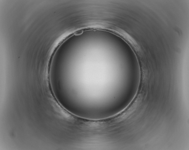 X0000115731240200911121505