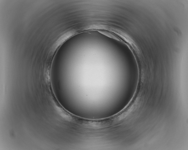 X0000115731241200911121505