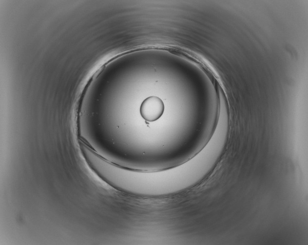 X0000115731243200911121505