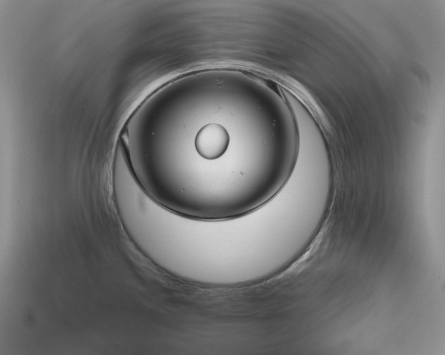 X0000115731244200911121505