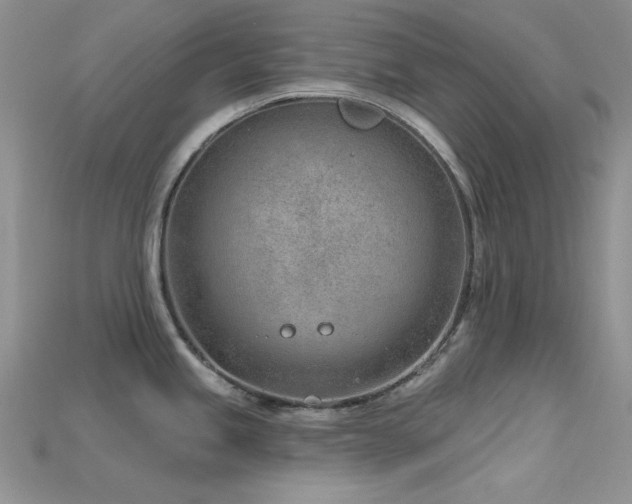 X0000115731245200911121505